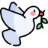 www.confessate.pt favicon